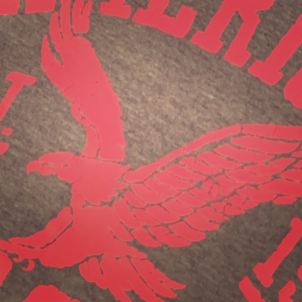 American Eagle T-shirt